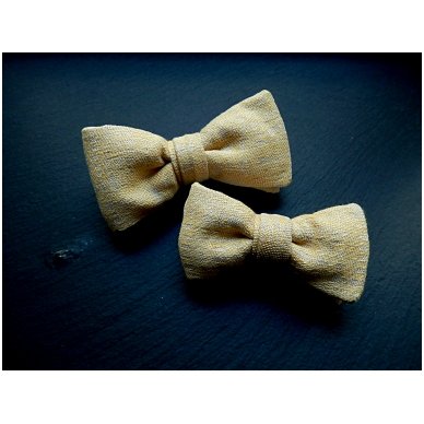 Daddy and Son Bow Tie set