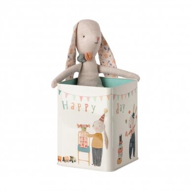 Happy Day Bunny in box, Medium