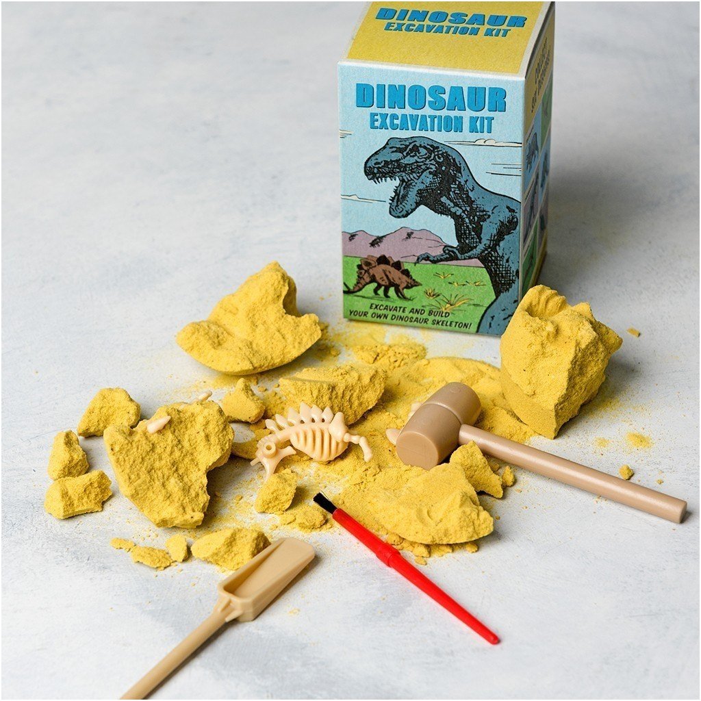 Small Dinosaur Excavation Kit 1 Small Dinosaur Excavation Kit 1