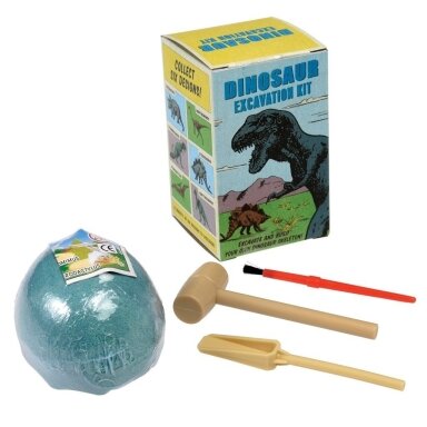 Mažas Dinozauro iškasenų rinkinys