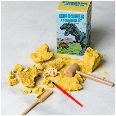 Small Dinosaur Excavation Kit 1 Small Dinosaur Excavation Kit 1