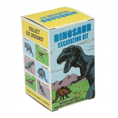 Small Dinosaur Excavation Kit 3